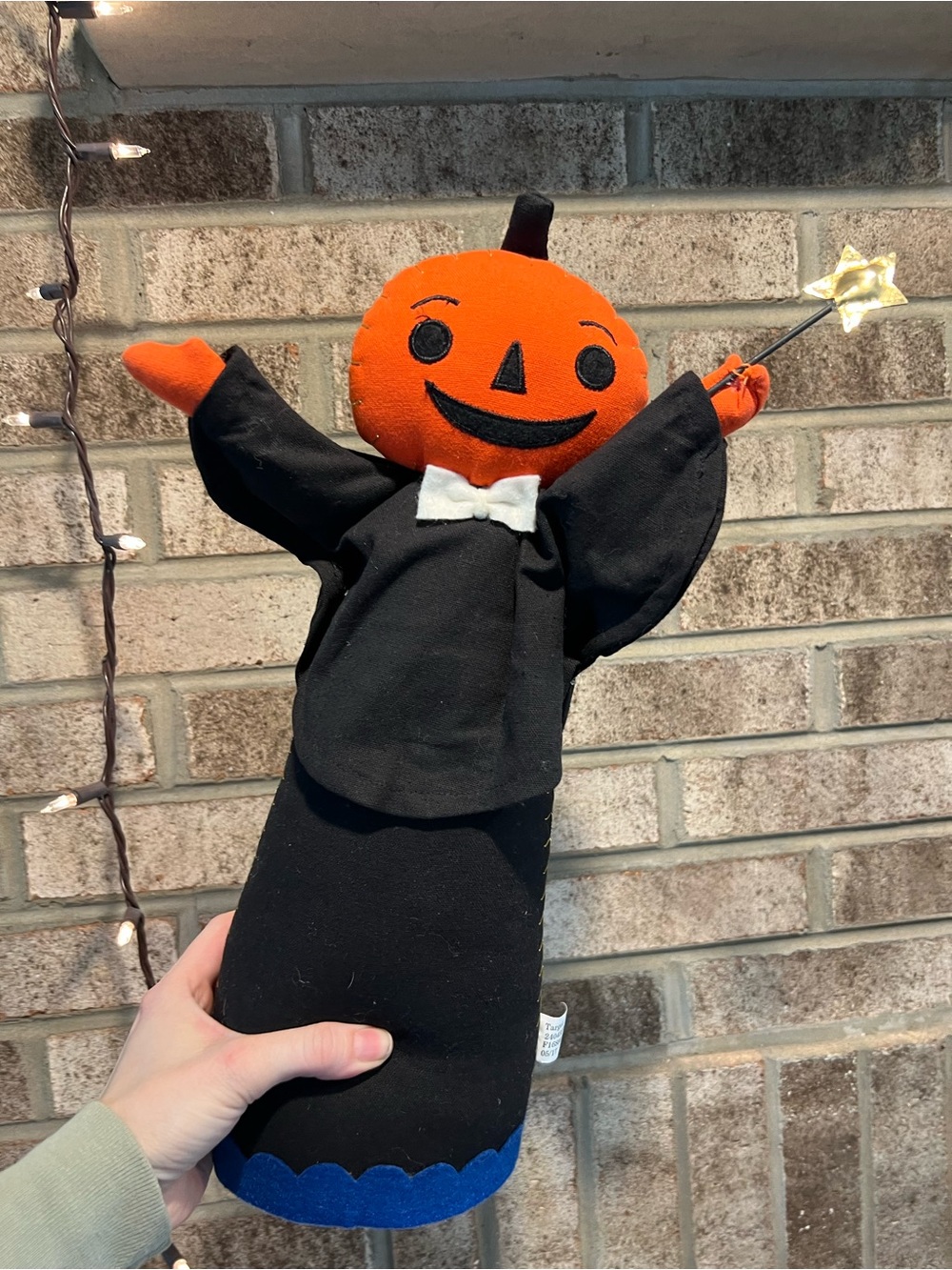 Hyde & Eek Target Halloween PUMPKIN WIZARD